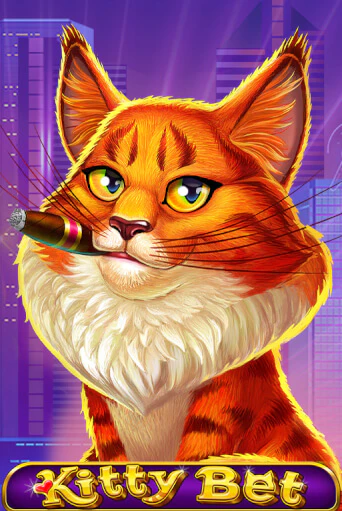 Демо игра Kitty Bet от Amatic | Casino X BY
