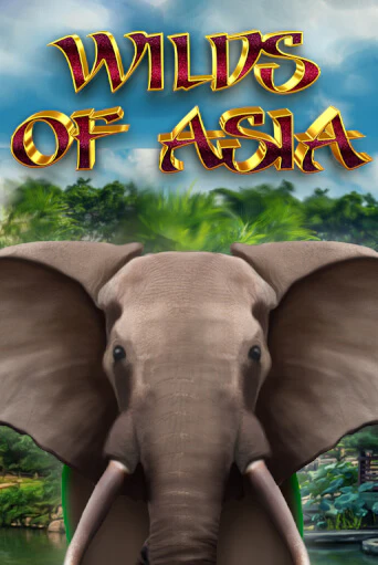 Демо игра Wilds of Asia от 5 Men Gaming | Casino X BY