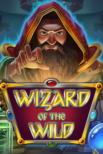 Демо игра Wizard of the Wild от Platipus | Casino X BY