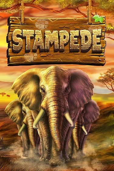 Демо игра Stampede от BetSoft | Casino X BY